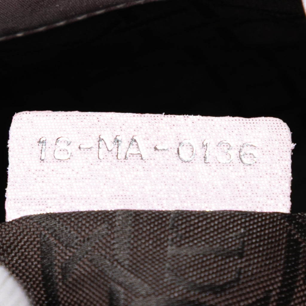 Dior Mini Iridescent Lambskin Cannage Lady Dior