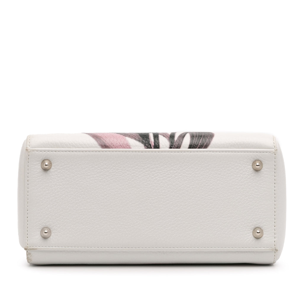 Dior Medium Deerskin Floral Printed Lady Dior