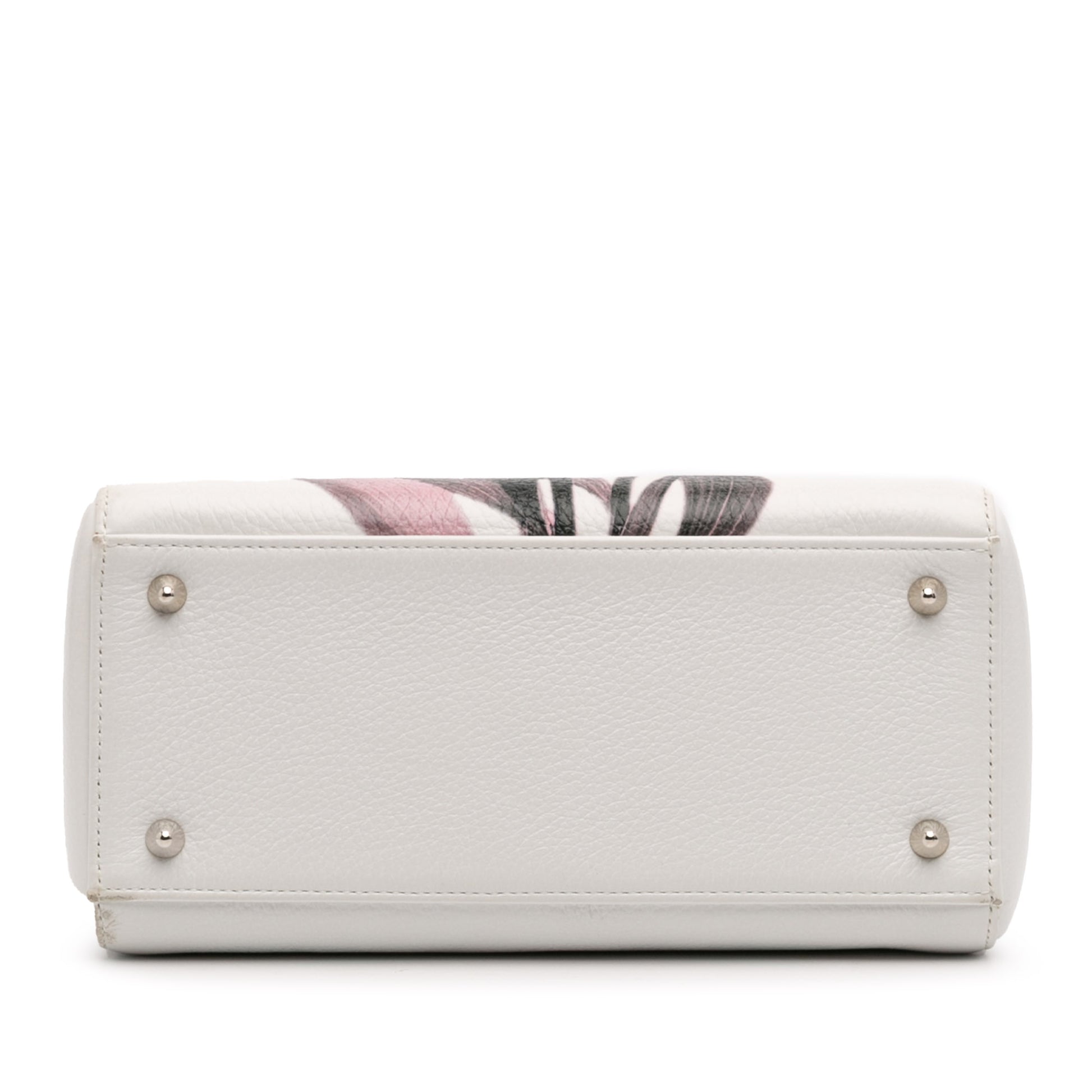 Dior Medium Deerskin Floral Printed Lady Dior