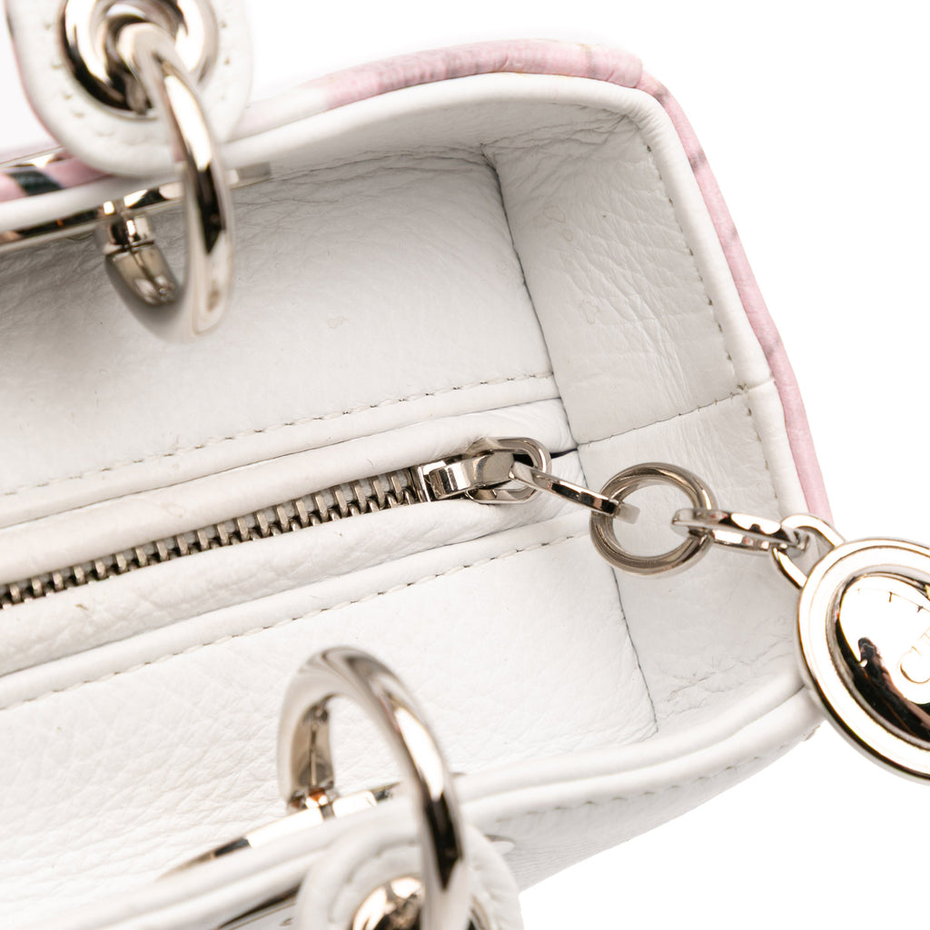 Dior Medium Deerskin Floral Printed Lady Dior