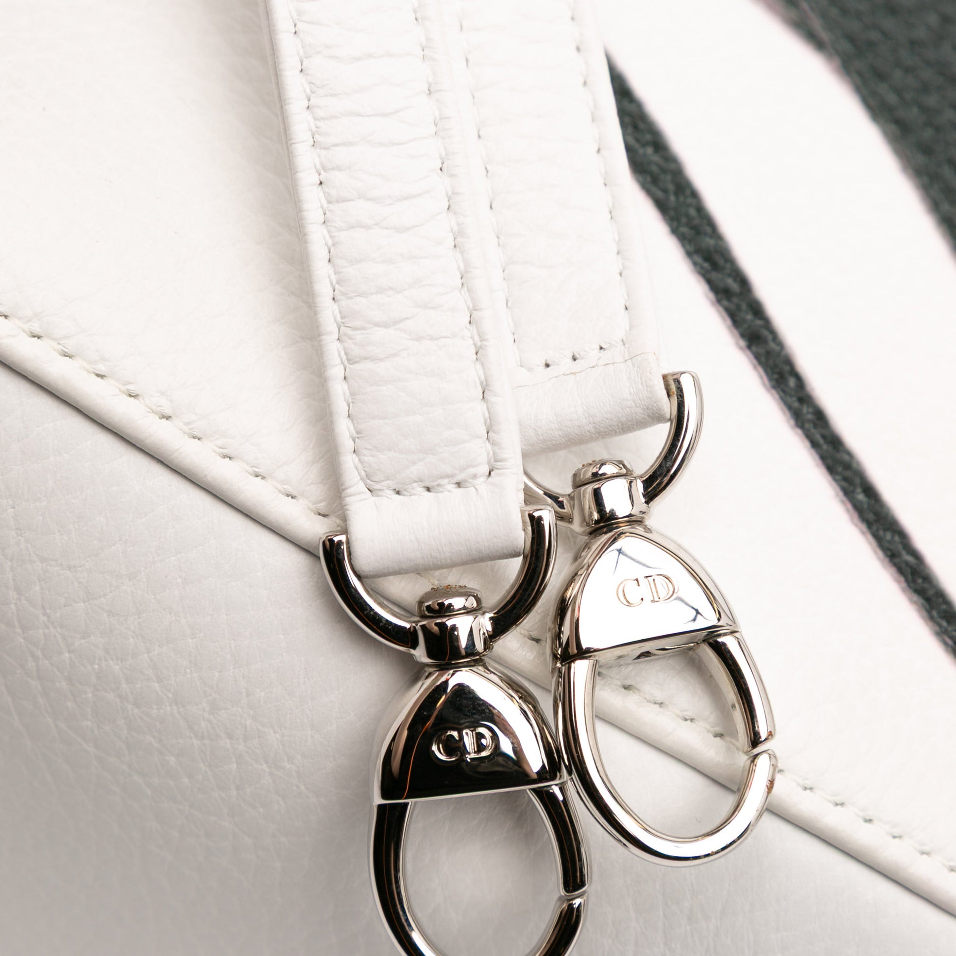 Dior Medium Deerskin Floral Printed Lady Dior