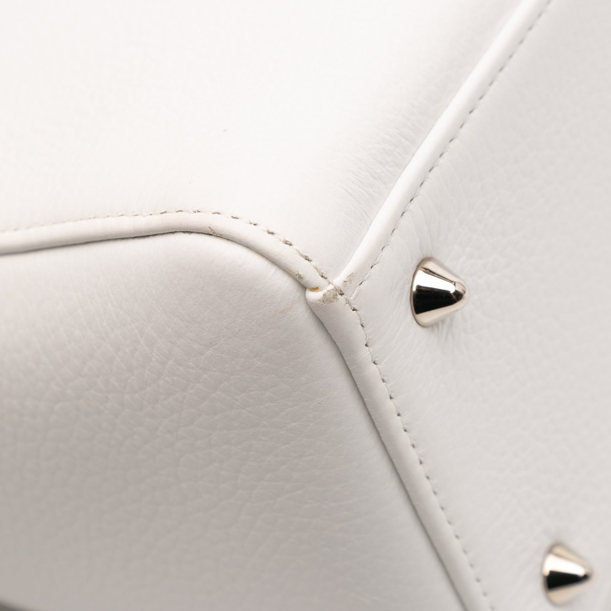 Dior Medium Deerskin Floral Printed Lady Dior