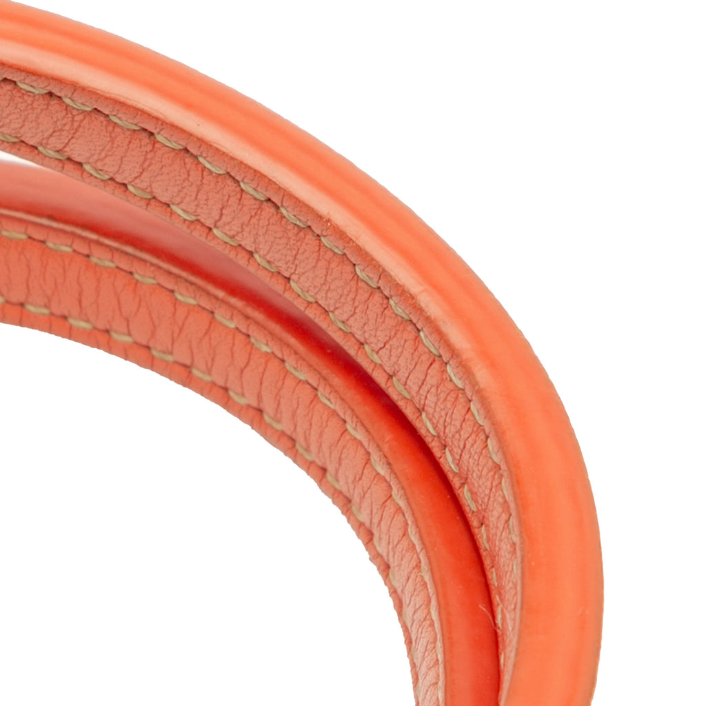 Goyard Mini Goyardine Reversible Anjou