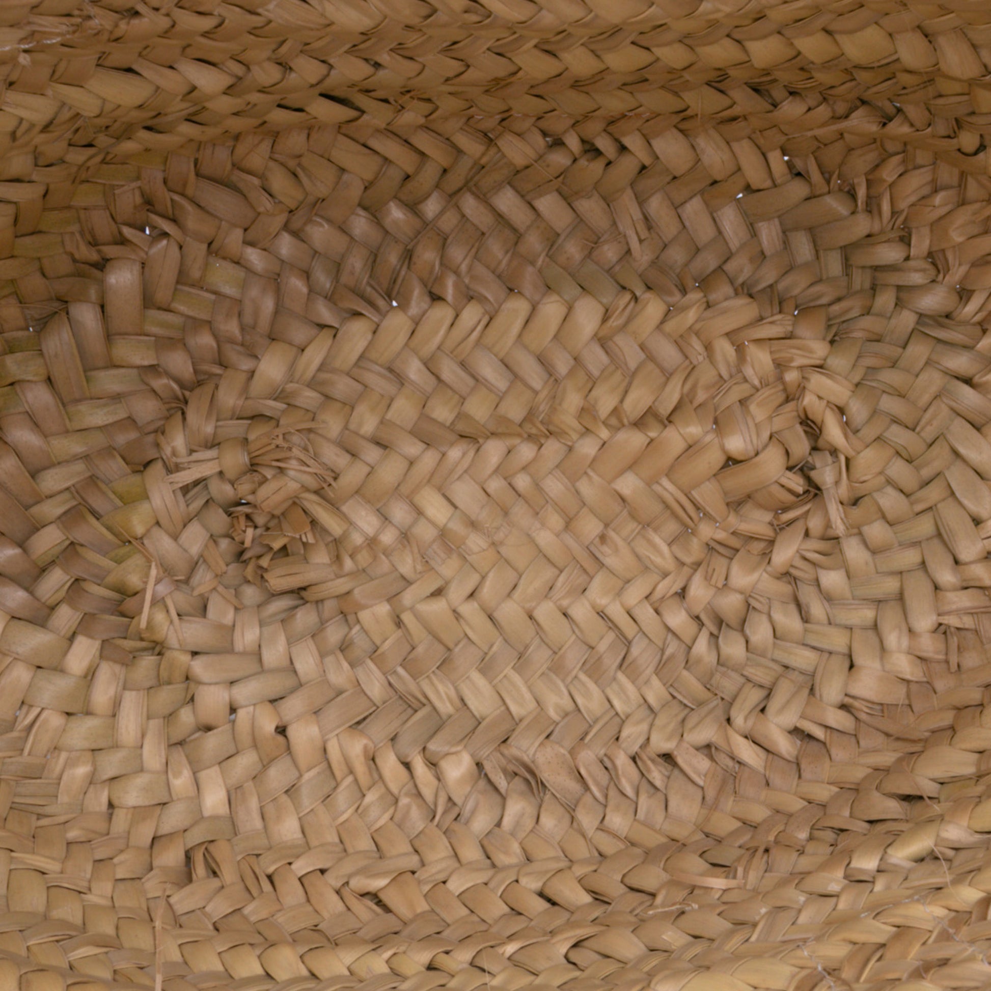 Loewe Small Raffia Basket Tote