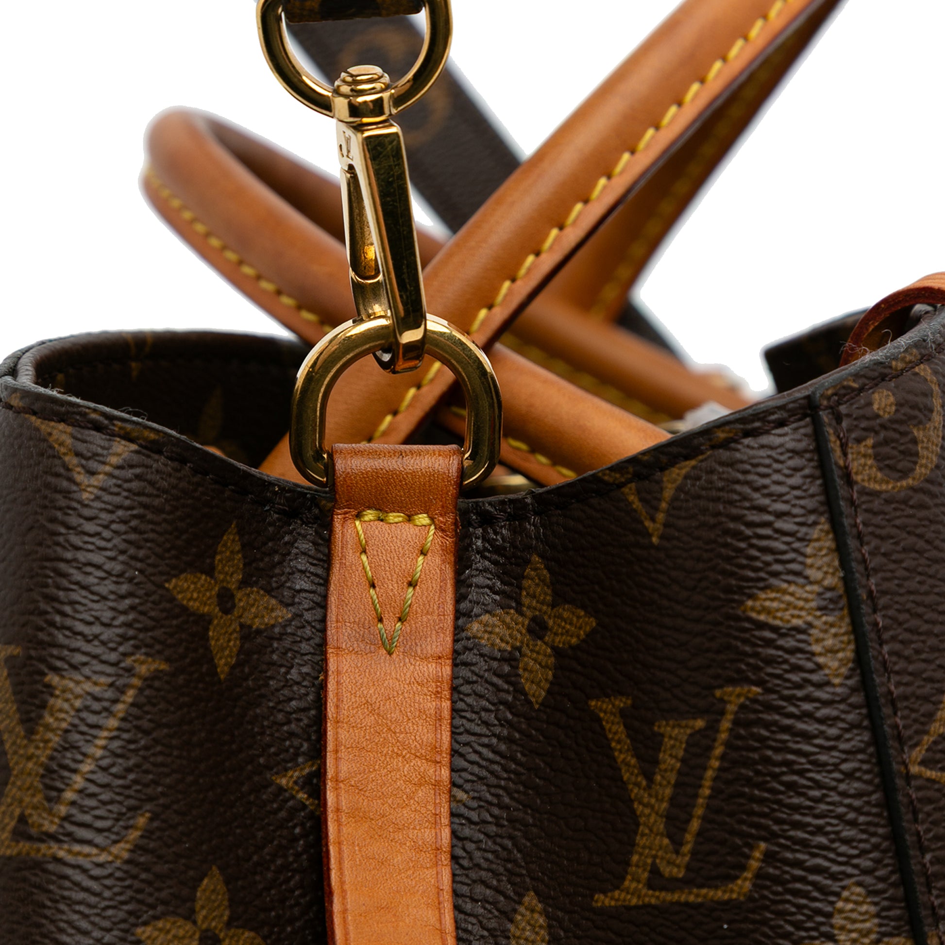 Louis Vuitton Monogram Montaigne MM