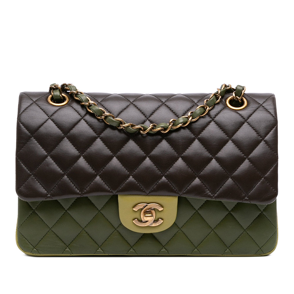 Chanel Medium Classic Tricolor Lambskin Double Flap