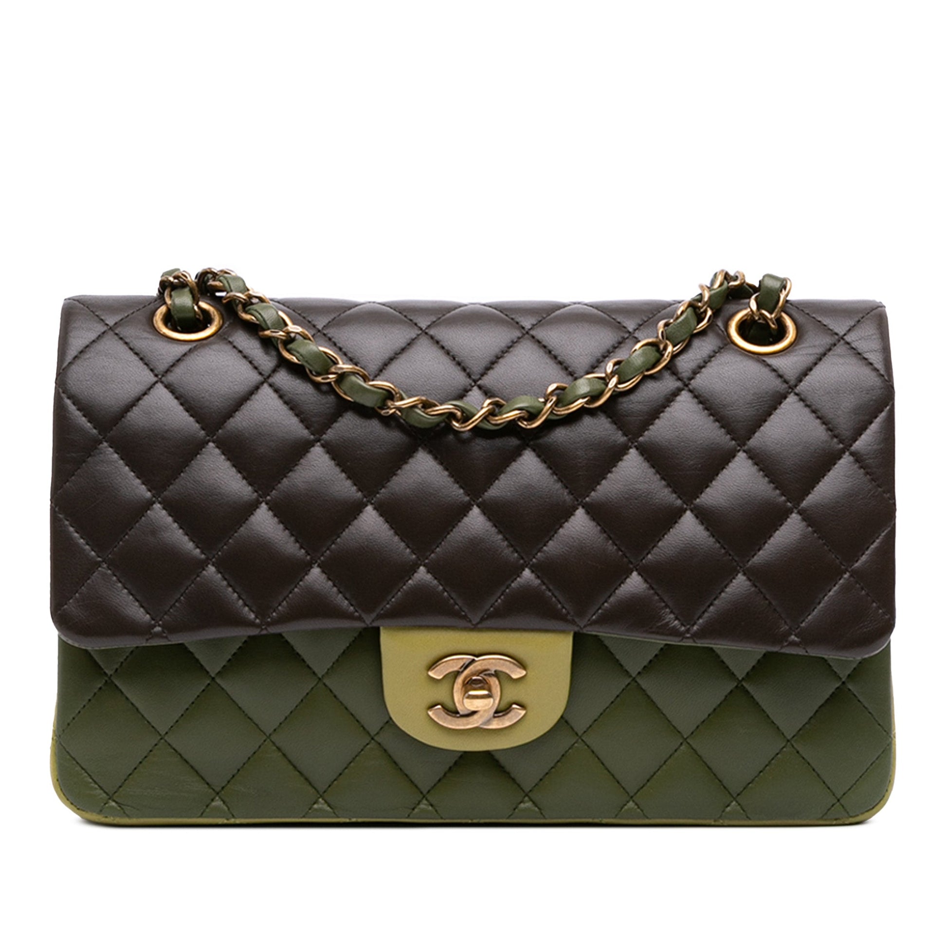 Chanel Medium Classic Tricolor Lambskin Double Flap