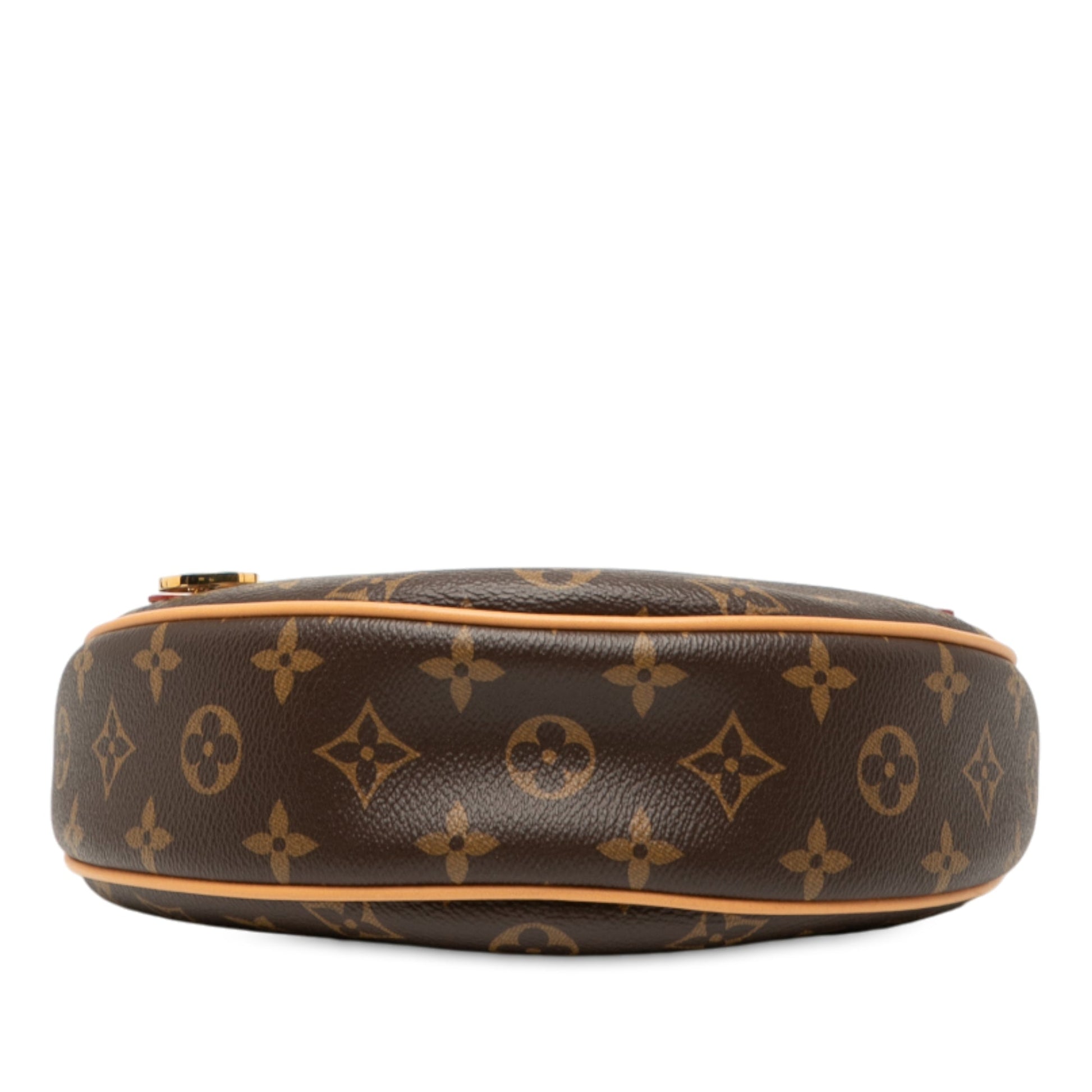 Louis Vuitton Monogram Loop