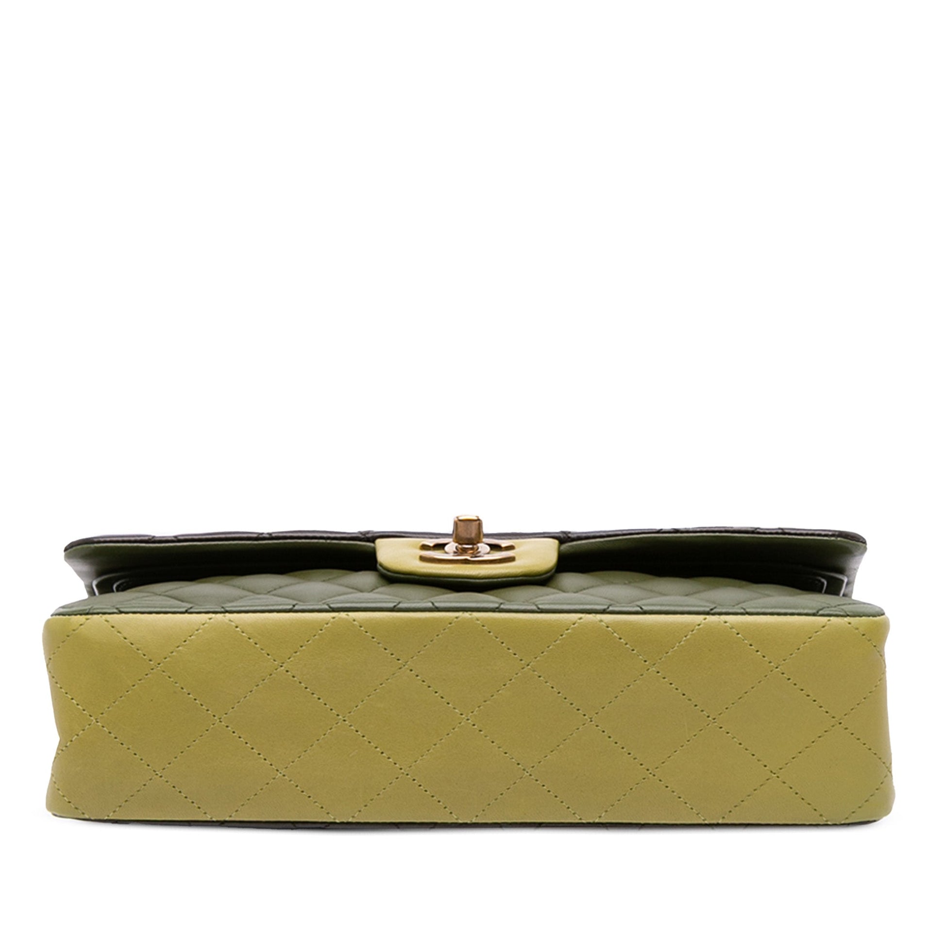 Chanel Medium Classic Tricolor Lambskin Double Flap