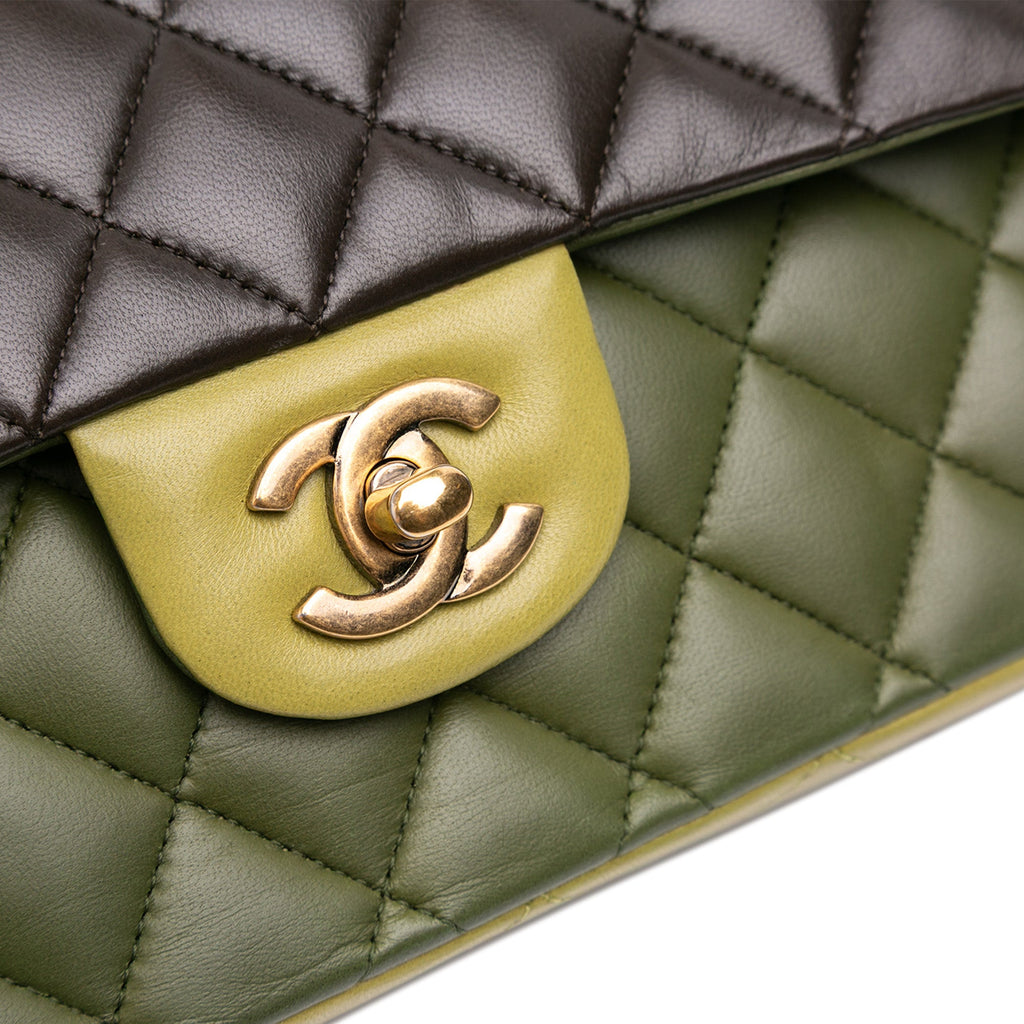 Chanel Medium Classic Tricolor Lambskin Double Flap